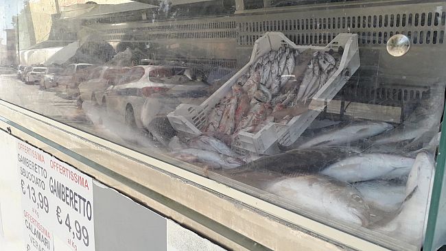 Castellammare del Golfo, sequestrati oltre 30 chili di pesce non tracciabile