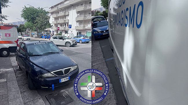 Alcamo, la Vicepresidente nazionale dell’associazione 