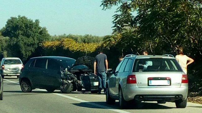 A29 (altezza area Fontanelle), incidente fra due auto per evitare un cane randagio