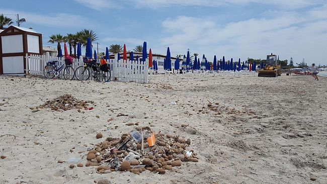 Spiaggia di Tonnarella, “Il Duemila”: “Il Comune avvii subito pulizia e disinfestazione”