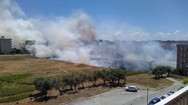 Trapani, vasto incendio brucia un’intera distesa di vegetazione