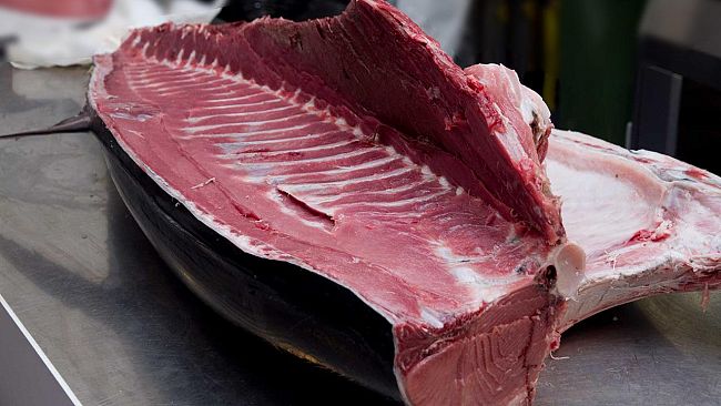 Veterinari ASP sequestrano tonno rosso al mercato del pesce di Trapani.