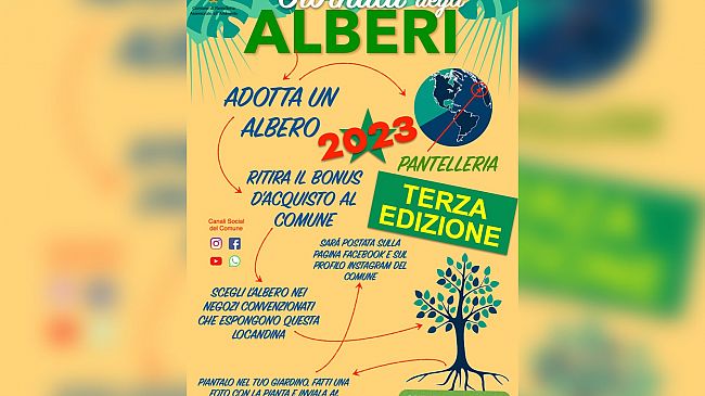 Pantelleria, parte lunedì 13 febbraio la campagna de la Giornata degli alberi