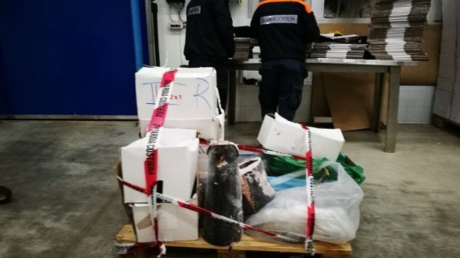 Mazara, la Guardia Costiera sequestra 400 kg di prodotti ittici non a norma