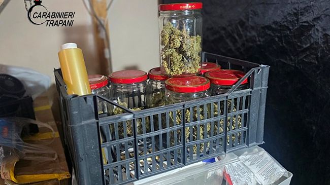 ​Trapani. Coltiva marijuana in appartamento, arrestato 25enne nel centro storico