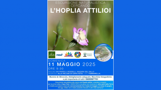 Mazara, l'11 maggio l'escursione naturalistica alla ricerca dell'hoplia attilioi