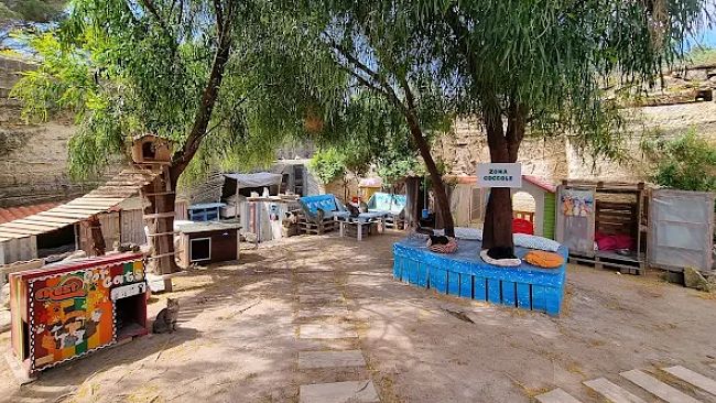 ​Favignana, sequestrata l’oasi felina “A-amici di Saie”: “È abusiva”