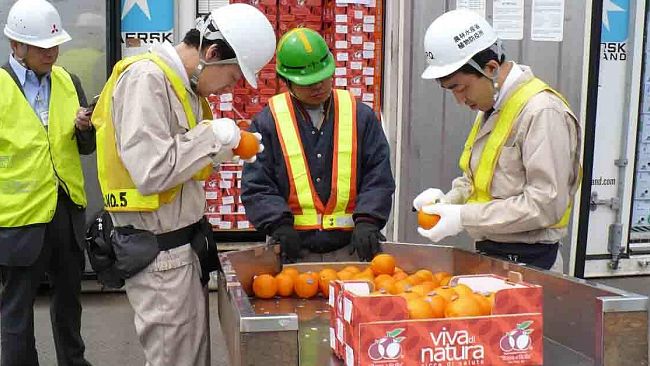 Agricoltura, via libera alle esportazioni degli agrumi in Cina. Nuove opportunità per le nostre aziende
