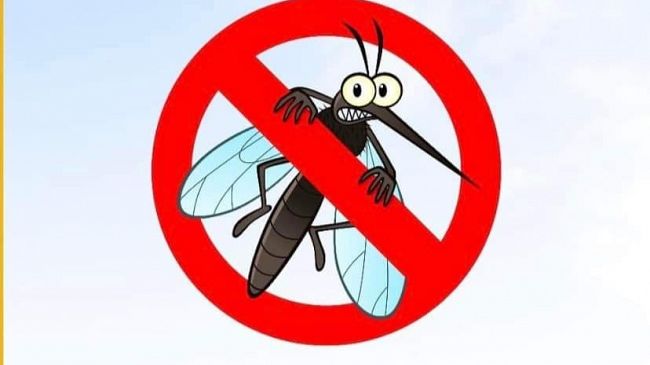 Mazara, II ciclo di disinfestazione straordinaria a Tonnarella 