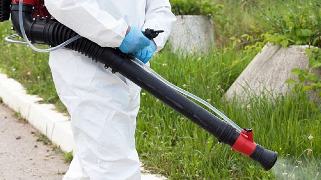 Buseto Palizzolo, domani disinfestazione nel territorio