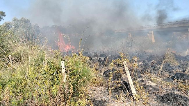Marsala, operazione di Polizia Municipale contro il reato di combustione illecita rifiuti