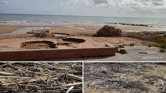 Mozione per ripulire spiaggia Tre Fontane