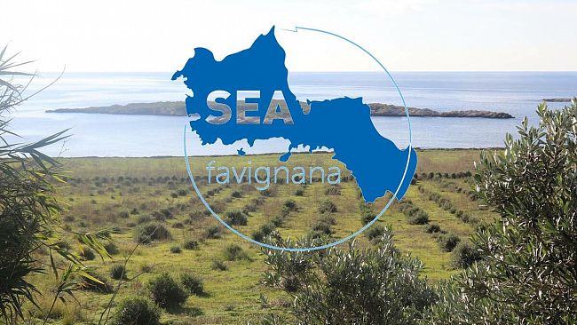 Caro bollette, SEA Favignana: «Ottima la convocazione di un tavolo tecnico»