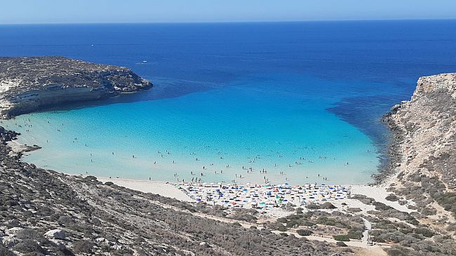 trapani/legambiente-gestore-della-riserva-naturale-isola-di-lampedusa-plaude-la-regione