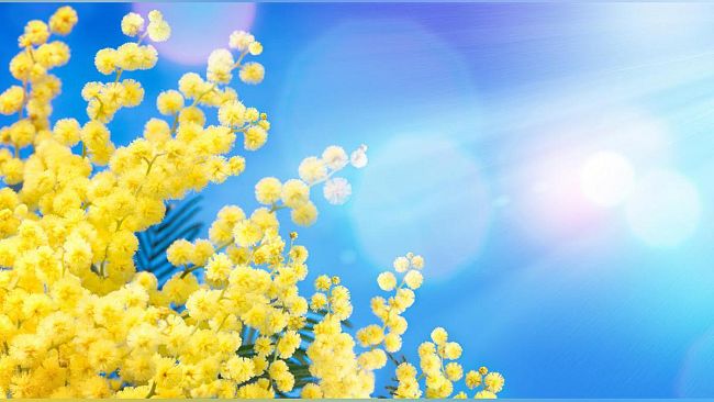 “Donna Conviene”, “Il Duemila” dedica un capitolo al lavoro delle donne a Mazara del Vallo