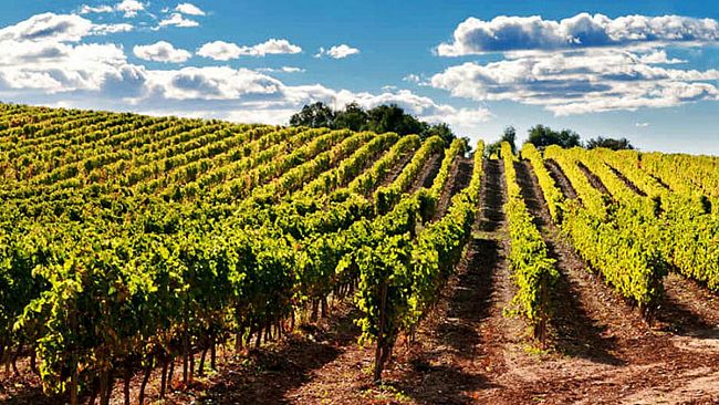 Obiettivo Città: Mozione su “rincari Benefici irrigui e costo dell’acqua