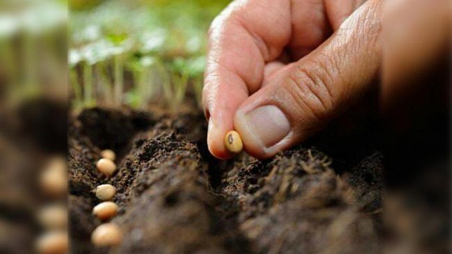 Al via il progetto Orchidea: organizzare e rigenerare contrastando gli Handicap e includendo i Disabili ed Anziani