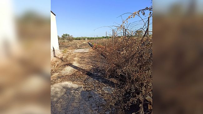 campobellopubblicato-avviso-per-la-locazione-di-2-terreni-confiscati-alla-mafia