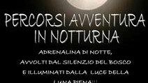 Percorsi avventura in notturna al parco naturavventura Finestrelle
