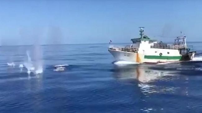 Lampedusa, sparatoria fra motovedetta GdF e peschereccio tunisino in acque territoriali