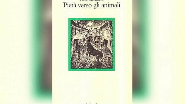 Ultime della sera. Pietà verso gli animali