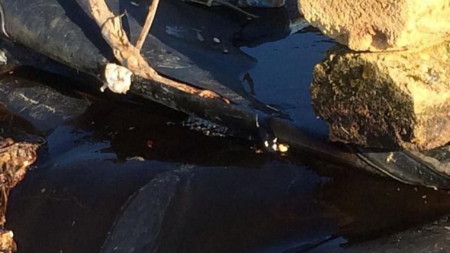 Campobello, Grave atto vandalico all’interno della discarica comunale di Campana Misiddi