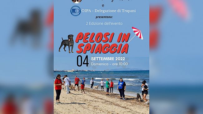 Trapani, cani senza casa al mare con i volontari Oipa 