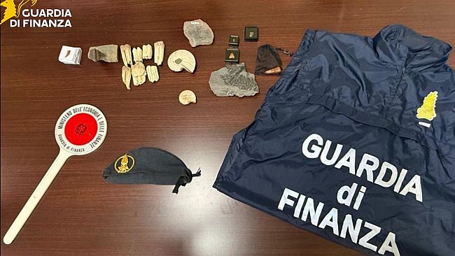 sequestrati-17-fossili-di-60-milioni-di-anni-fa-spedizioni-intercettate-a-punta-raisi