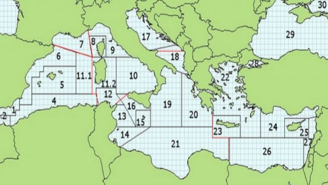 Mazara, terza riunione del “tavolo tecnico comunale sulla Pesca”