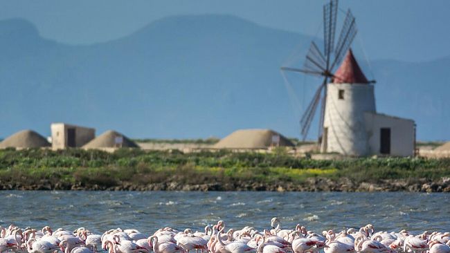 Corso di educazione ambientale alla riserva delle saline di Trapani e Paceco