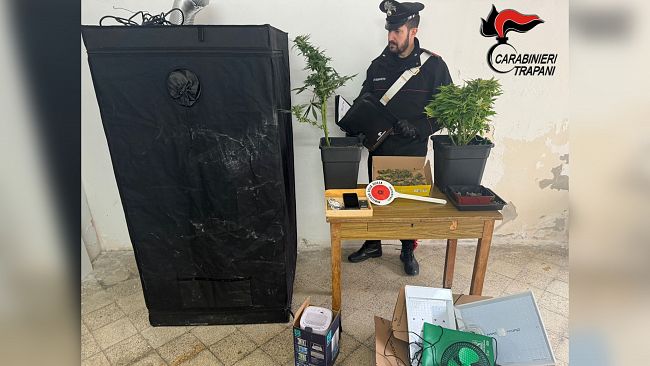 Erice, coltivava marijuana in casa. Arrestato 37enne