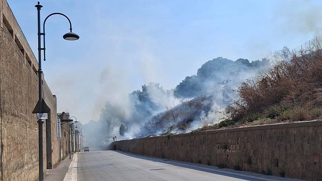 Fiamme sul costone del parco delle rimembranze a Castelvetrano