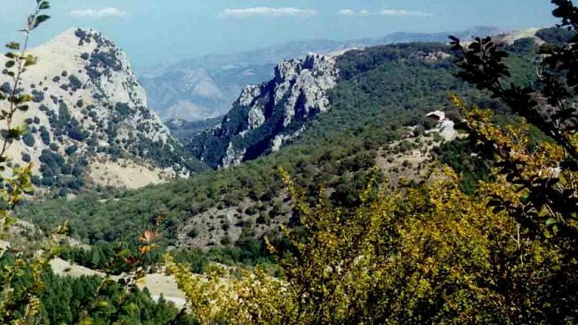 Nel Parco delle Madonie un progetto pilota sul recupero energetico delle biomasse