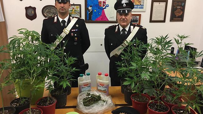 Marsala, nascondeva coltivazione di marijuana in casa. Arrestato dai Carabinieri