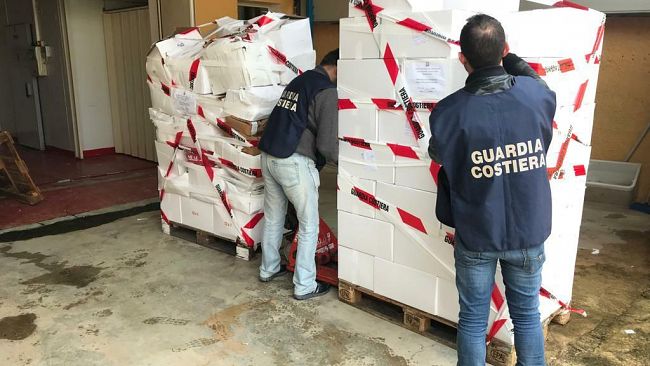 Più legalità e più qualità sulla tavola dei consumatori: l’operazione “Confine illegale” della Guardia Costiera a tutela del made in Italy