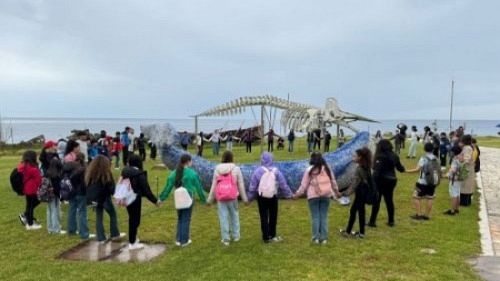 campobello-biodiversita-e-scienza-un-anno-ricco-di-iniziative-per-lic-pirandello-bosco-e-ias-cnr-capo-granitola