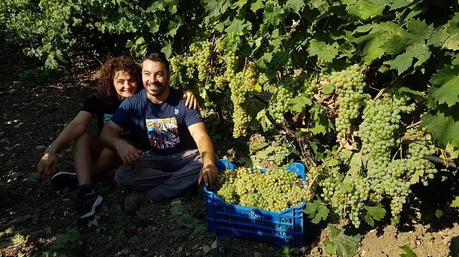 Vino trapanese vince la medaglia d’oro al “Concorso internazionale Vermentino”
