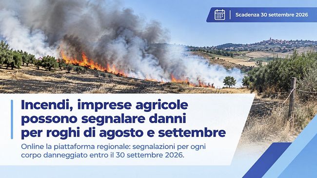incendi-in-sicilia-le-imprese-agricole-possono-segnalare-i-danni-subiti-tra-agosto-e-settembre-2026