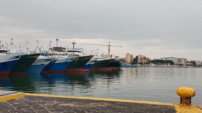 Mazara, Pesca, il prezzo del gasolio aumenta e quello del gambero crolla   