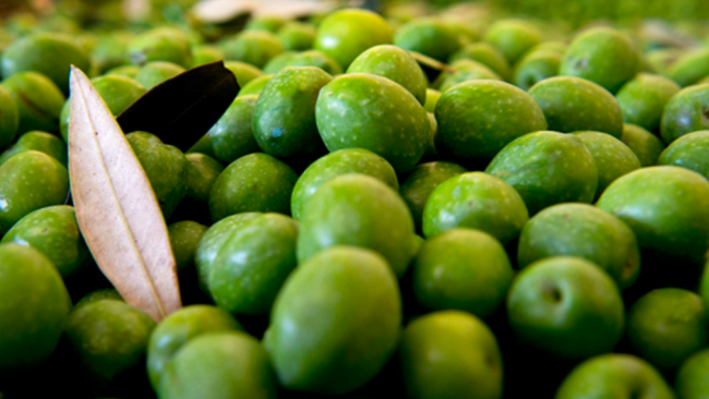 Mazara, al Giardino di Costanza la XII edizione de ‘L’isola del tesolio”