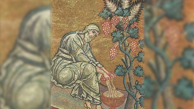 Ultime della sera: “Come Noè”