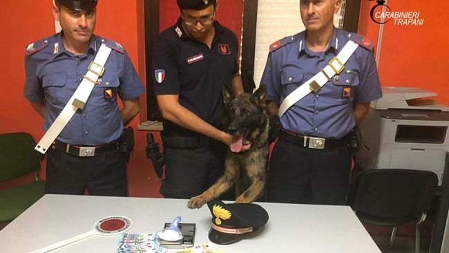 Trapani, attività antidroga dei Carabinieri: un arresto