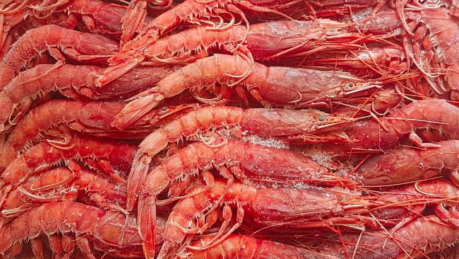 Mazara, Pesca, il Comune vara un progetto per le quote del gambero rosso e viola