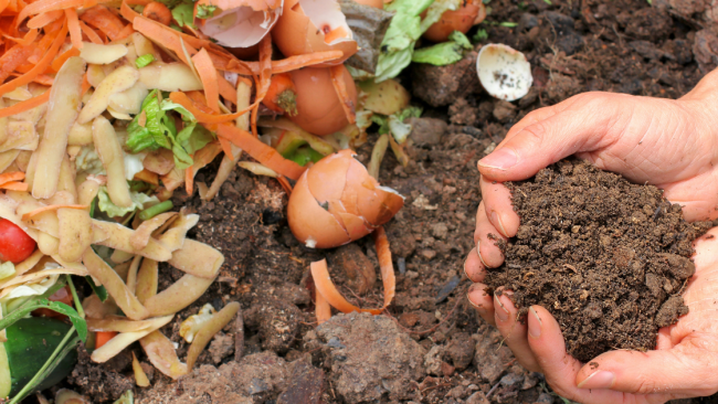 Sicilia, 48 milioni per il compostaggio e i centri di raccolta rifiuti