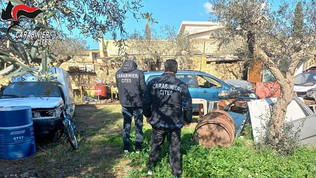 Trapani e Marsala: abbandonano rifiuti speciali nei terreni. Denunciate 2 persone