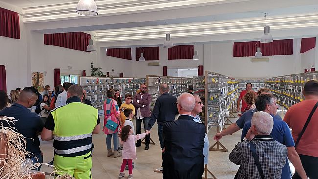 Sabato 11 e domenica 12 novembre al CSR la 44ma Mostra Ornitologica della Città di Marsala