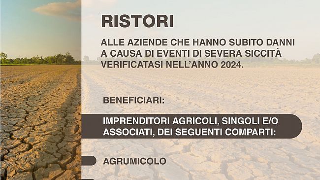 Siccità 2024: 35 milioni dalla Regione Sicilia per le aziende agricole danneggiate