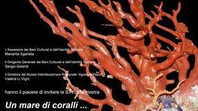 TRAPANI –   Al Museo “Agostino Pepoli” la mostra “Un mare di coralli …. e di tesori”