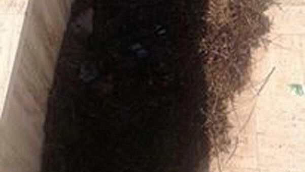 Piazza Macello tra degrado e inciviltà, la Stele di Denise spenta