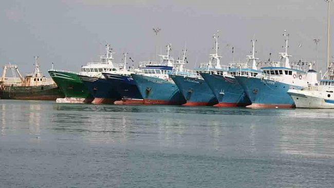 Federpesca, nessun fermo biologico 2017 senza il pagamento del 2015 e 2016